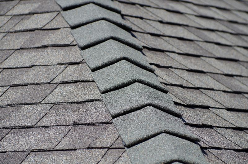 Specialized Roofing Companies